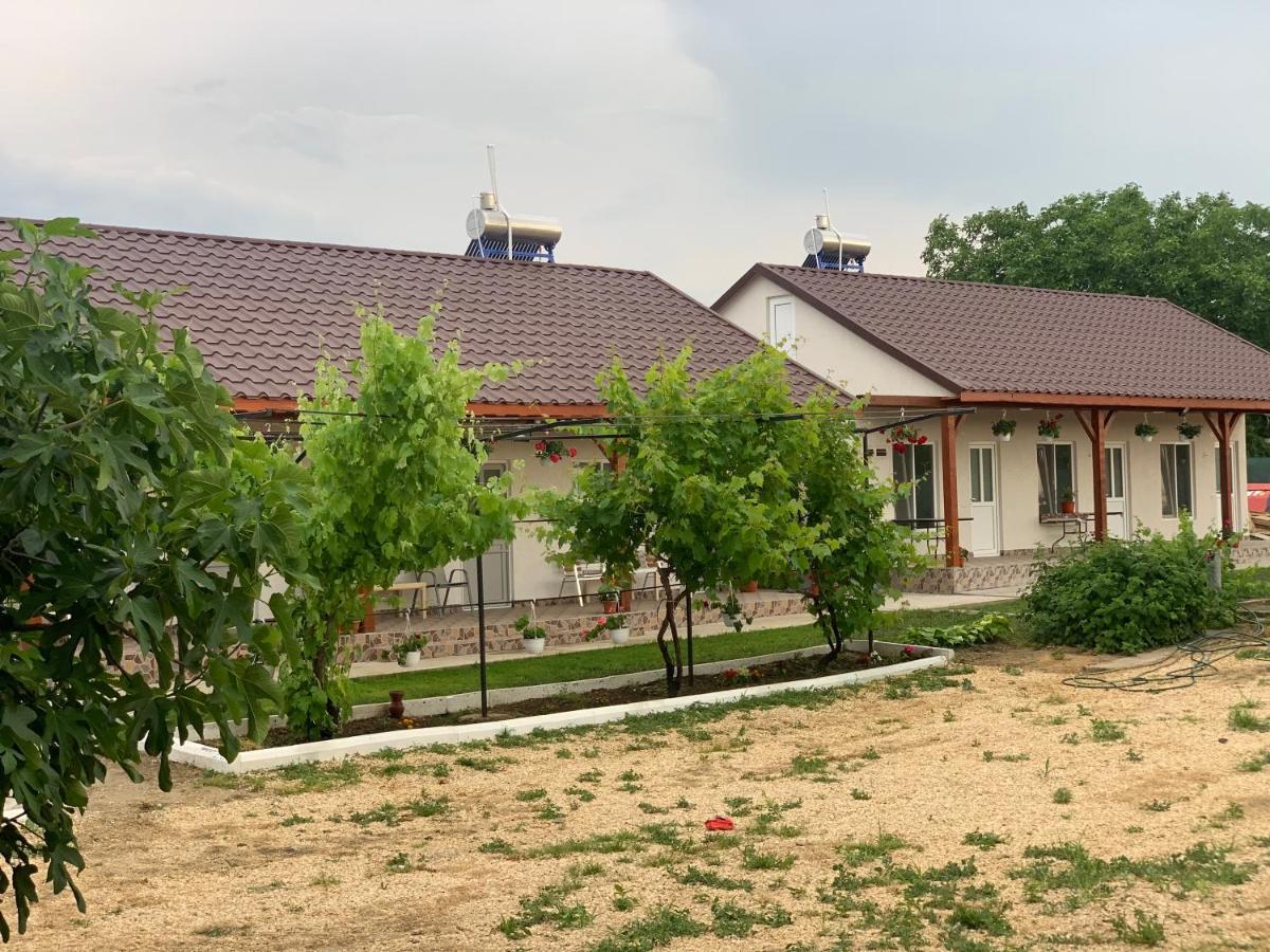 Houses By The Sea Vadu Ngoại thất bức ảnh